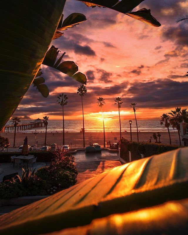 Особлива краса Каліфорнії: сонячні фото - фото 290918