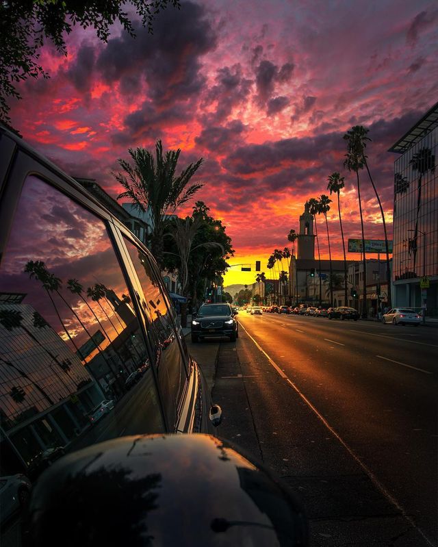 Особлива краса Каліфорнії: сонячні фото - фото 290920