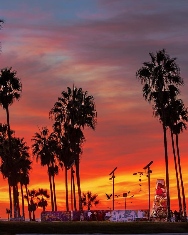 Особлива краса Каліфорнії: сонячні фото - фото 290921