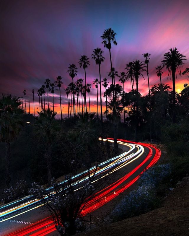 Особлива краса Каліфорнії: сонячні фото - фото 290923