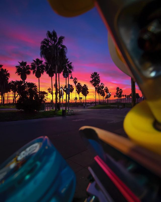 Особлива краса Каліфорнії: сонячні фото - фото 290925