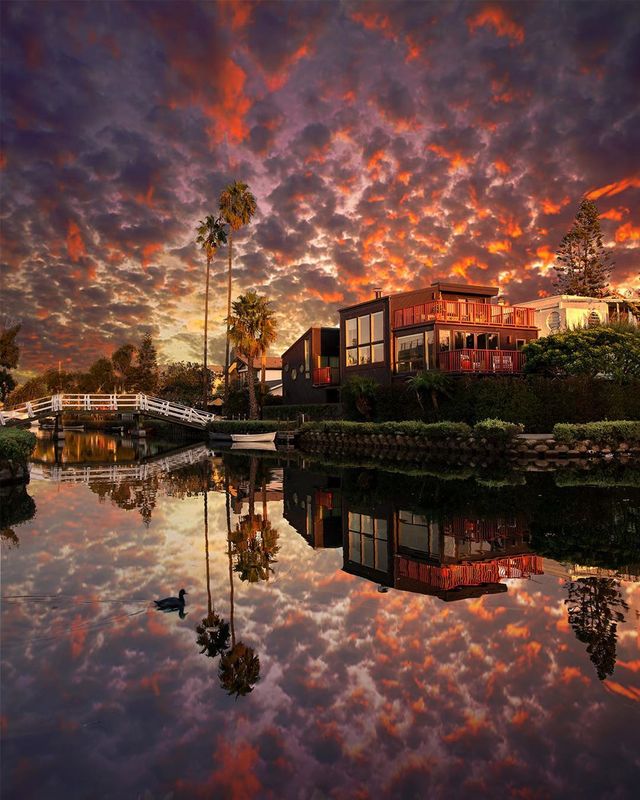 Особлива краса Каліфорнії: сонячні фото - фото 290927