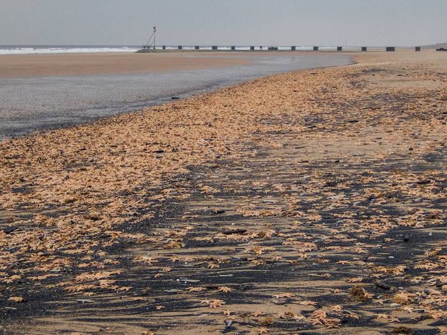 Trevor Bradford/SWNS - фото 290984