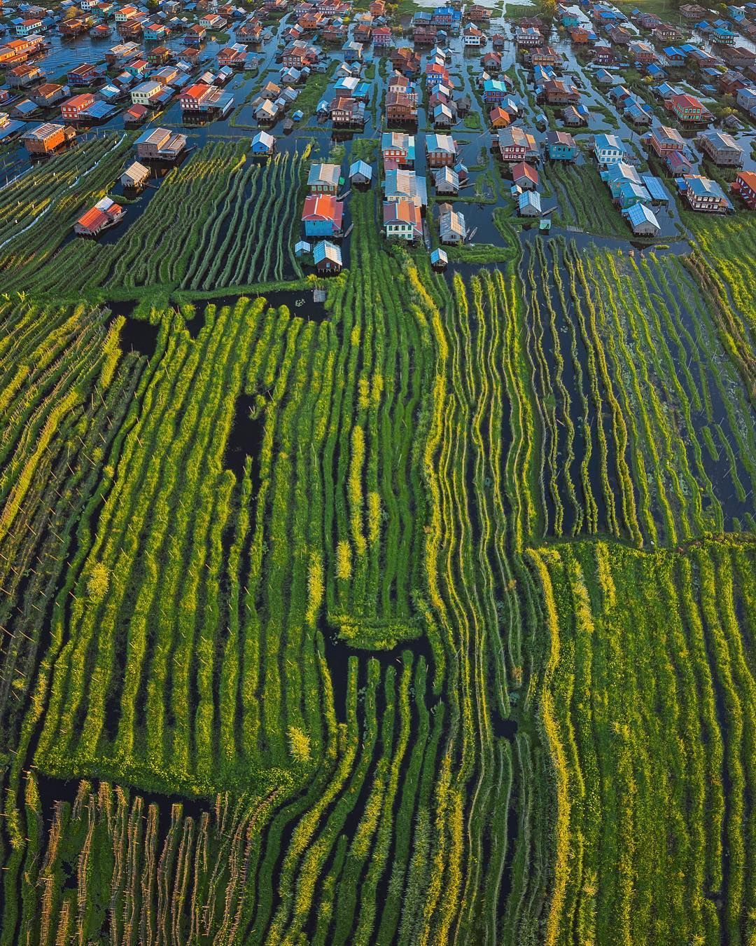 Як працює ринок на озері у М'янмі: ефектне відео