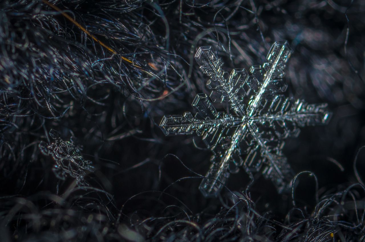 Яку погоду очікувати в Україні 25 листопада