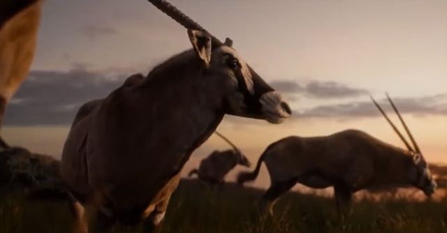 Король Лев: у мережі порівняли анімацію фільмів 1994 та 2019 років - фото 291011