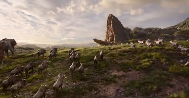 Король Лев: у мережі порівняли анімацію фільмів 1994 та 2019 років - фото 291012