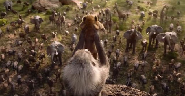 Король Лев: у мережі порівняли анімацію фільмів 1994 та 2019 років - фото 291017