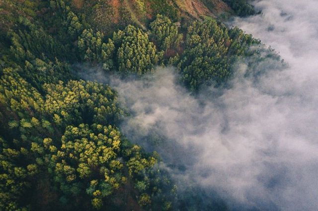 Швеція у різні пори року з висоти пташиного польоту - фото 291227