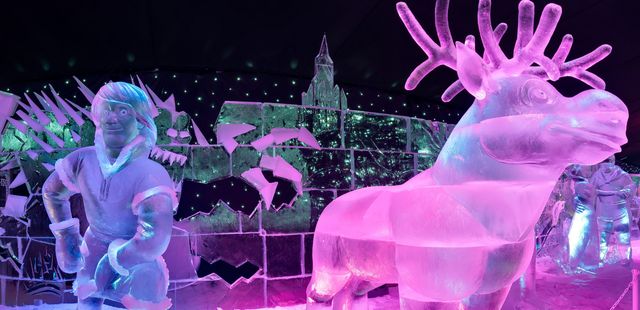 У Брюгге відкрилася виставка льодяних скульптур: яскраві фото - фото 291235