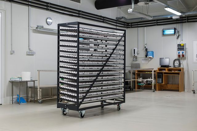 Фотограф зробив серію портретів курей, яких вирощують для проведення експериментів - фото 291258