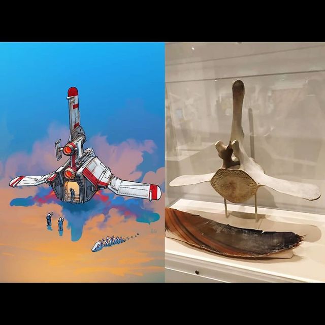 Космічні кораблі, на які надихнули звичайні предмети - фото 291327