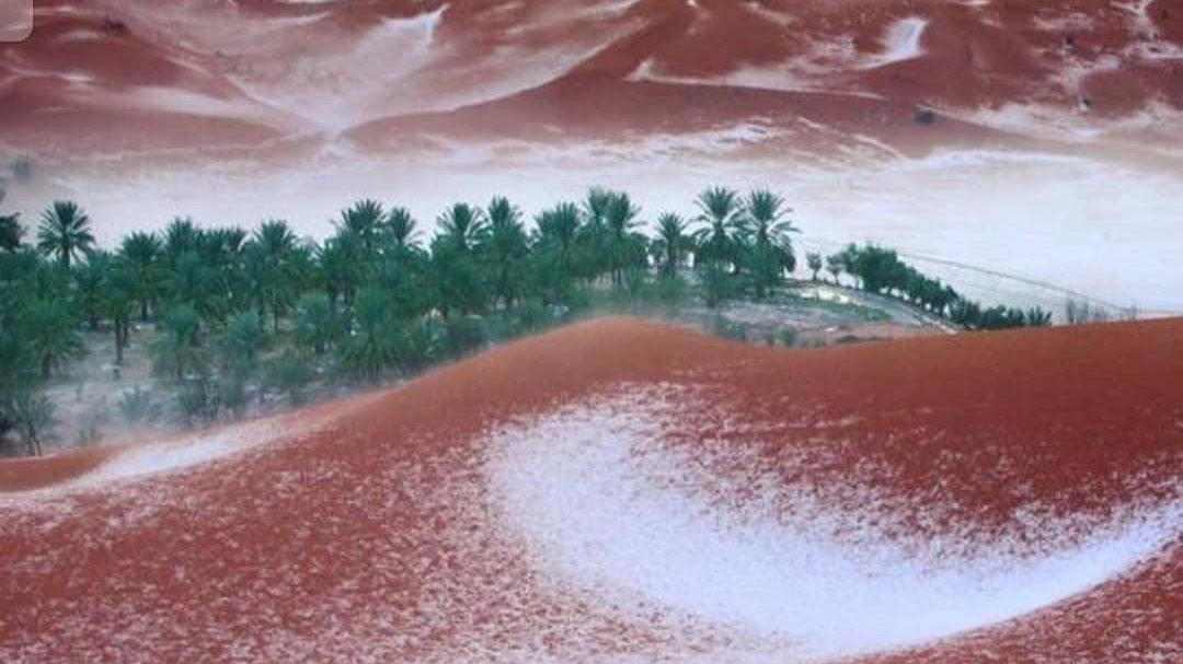 У Саудівській Аравії випав сніг: місцеві катаються з гірок в пустелі