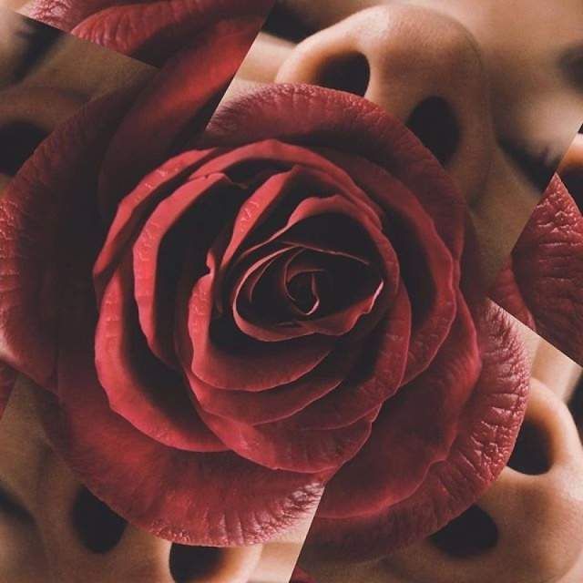 Людина і природа: оптичні ілюзії, які здивують вас - фото 291487