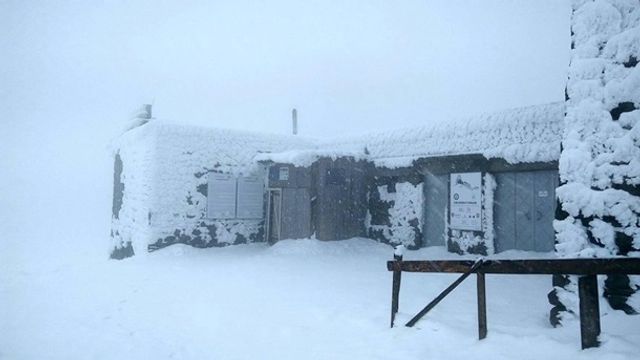 Карпати засипало снігом: фото і відео- фото 291584