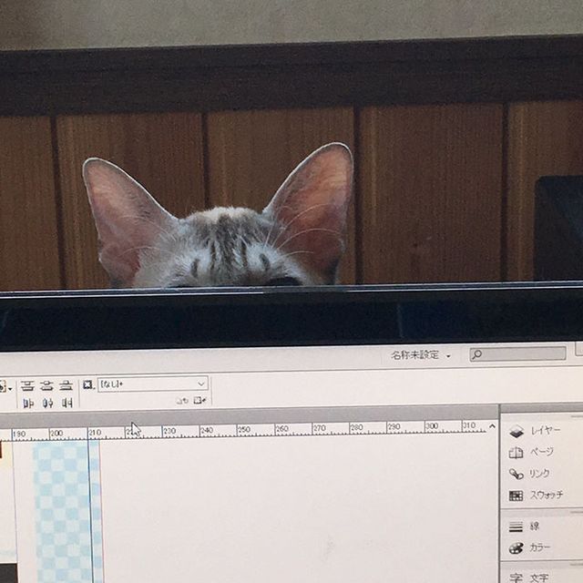 Японець створив антикотячу клавіатуру: кумедні фото - фото 291614