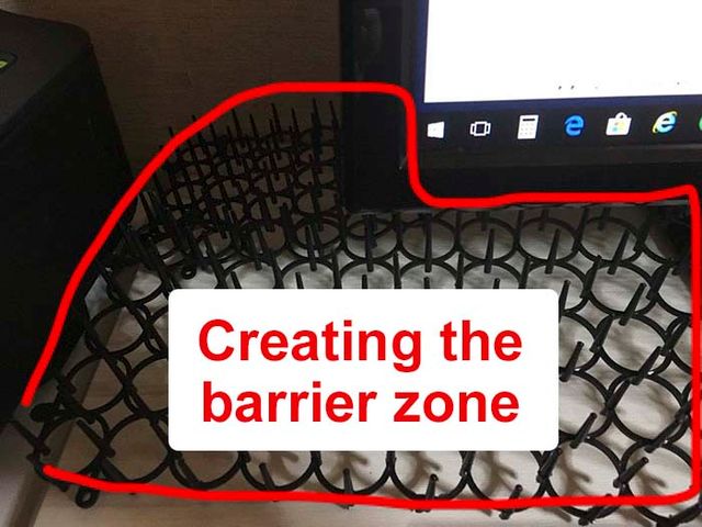 Японець створив антикотячу клавіатуру: кумедні фото - фото 291615