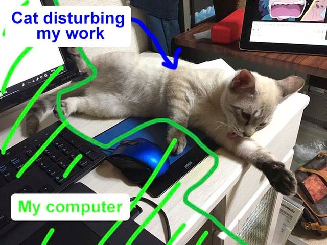 Японець створив антикотячу клавіатуру: кумедні фото - фото 291617