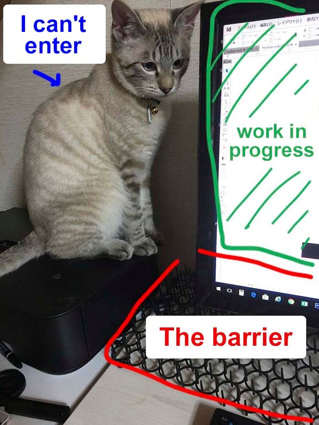 Японець створив антикотячу клавіатуру: кумедні фото - фото 291618