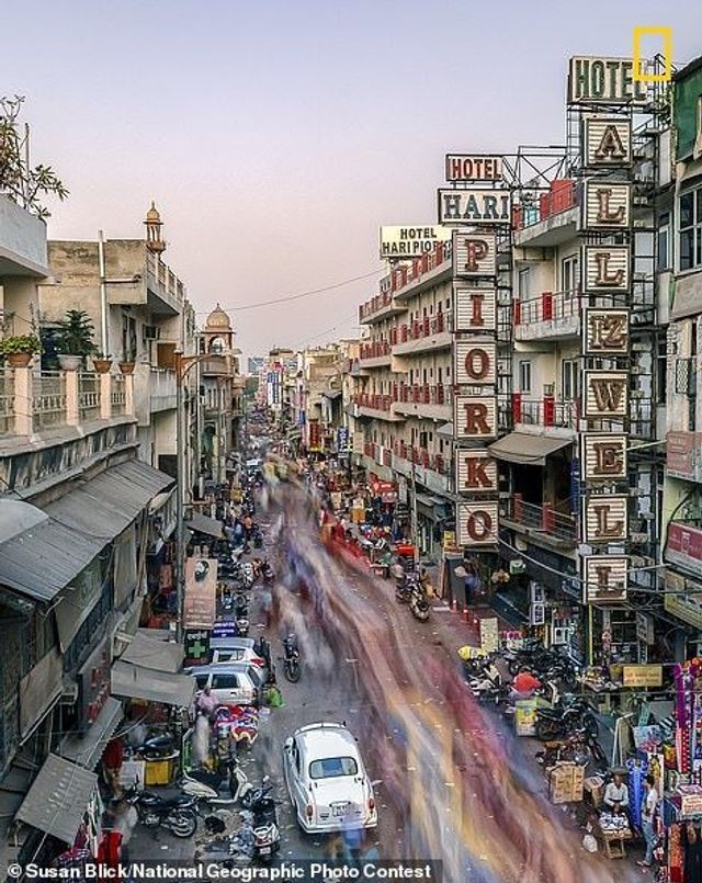 Представлено найкращі знімки National Geographic Photo Contest 2018 року - фото 291644
