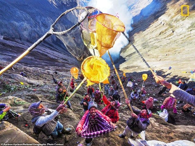 Представлено найкращі знімки National Geographic Photo Contest 2018 року - фото 291647