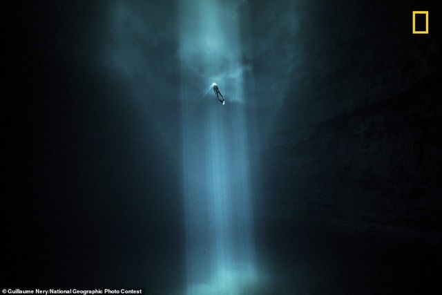 Представлено найкращі знімки National Geographic Photo Contest 2018 року - фото 291648