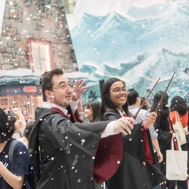 Аеропорт в Сінгапурі перетворили на всесвіт Гаррі Поттера - фото 291656