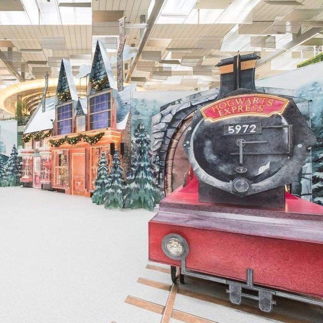 Аеропорт в Сінгапурі перетворили на всесвіт Гаррі Поттера - фото 291657