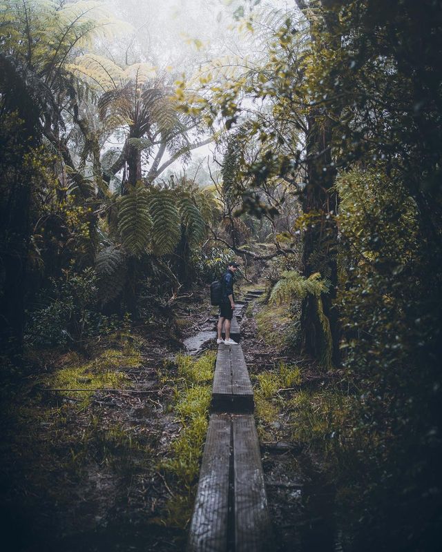 Захопливі подорожі у фотографіях Томаса Лоттера - фото 292016