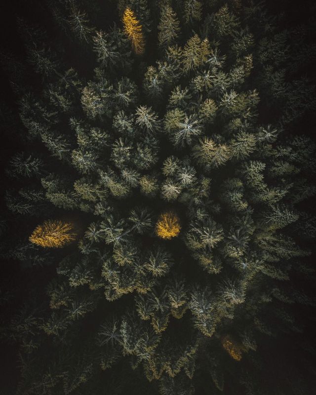 Захопливі подорожі у фотографіях Томаса Лоттера - фото 292019