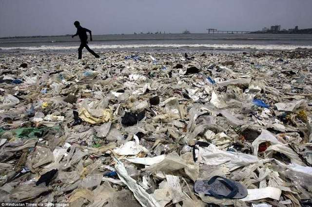 Цей чоловік самотужки очистив цілий пляж від сміття: фото - фото 288381