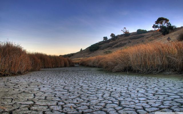 Зміна клімату погано впливає на чоловіче здоров'я - фото 289096