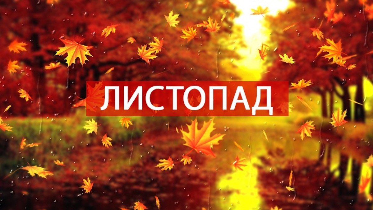 Українські вірші і прикмети про листопад - фото 1