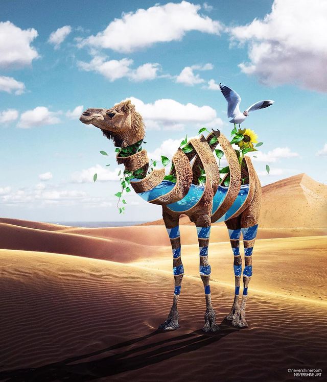 Аде Маолана створює казкові знімки - фото 288829