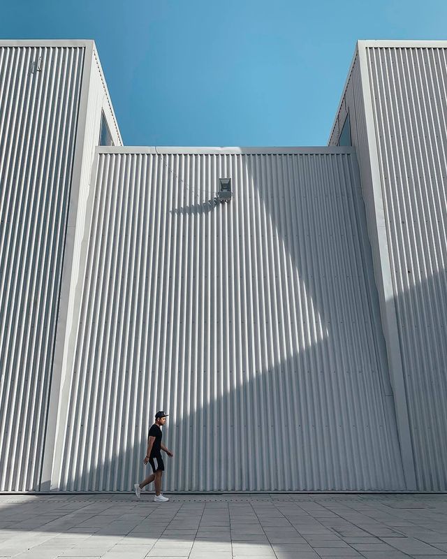 Apple показала найкращі знімки, зроблені на iPhone XR - фото 289071