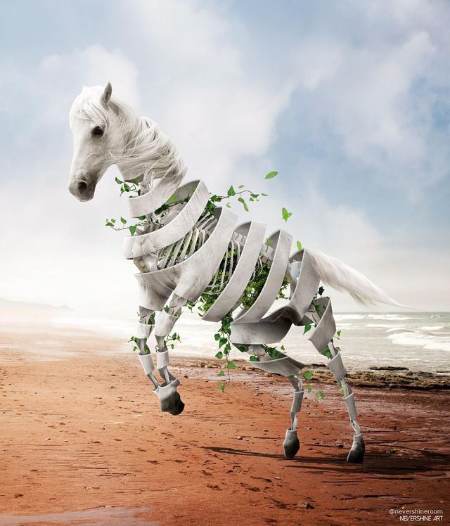 Аде Маолана створює казкові знімки - фото 288824