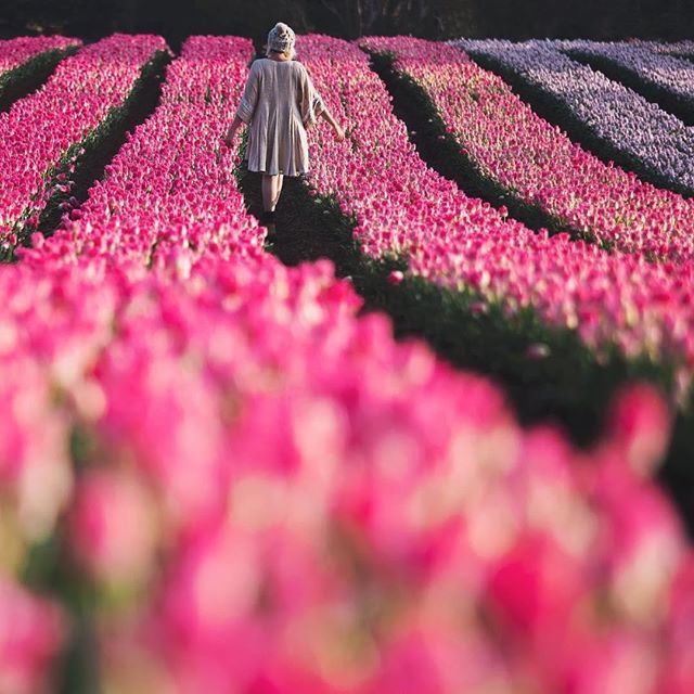 Як виглядає найкрасивіша країна в Instagram- фото 286459