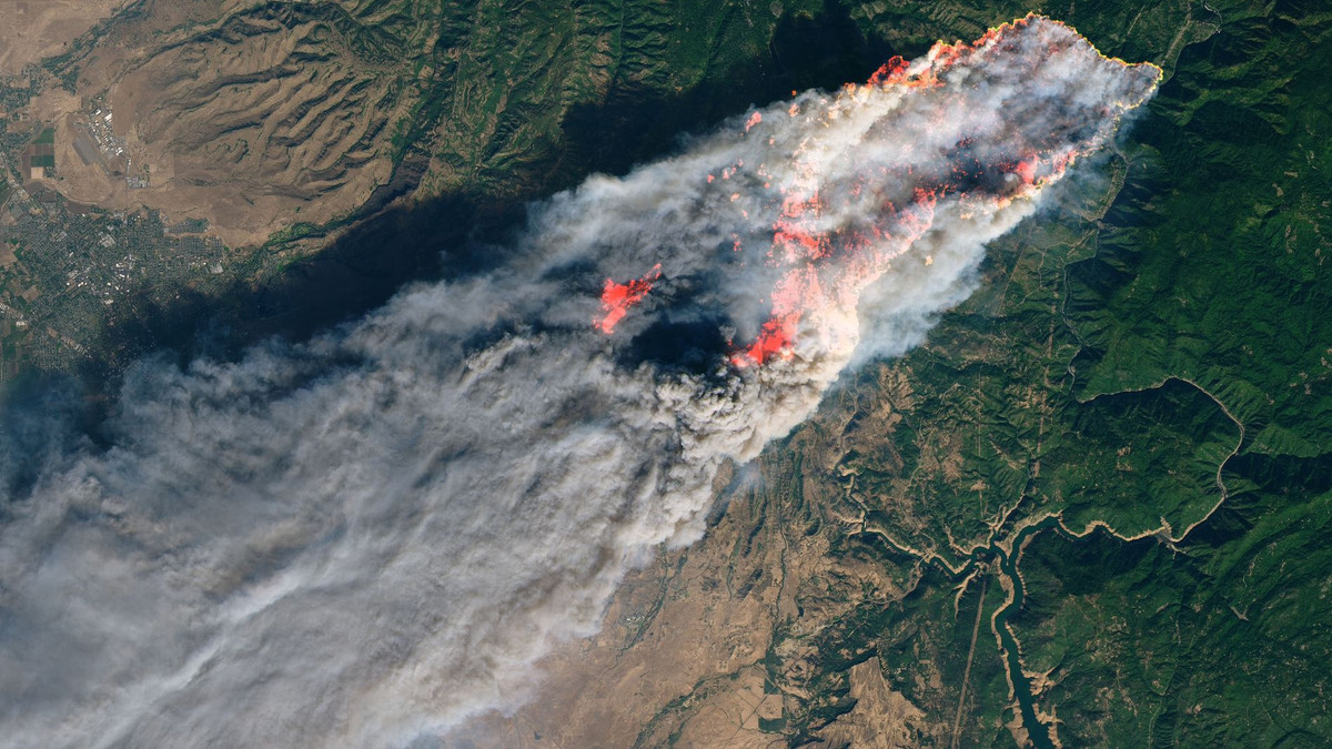 Пожежа у Каліфорнії - фото 1