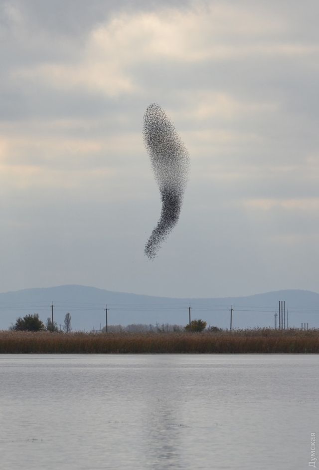 Унікальне природне явище - фото 286806