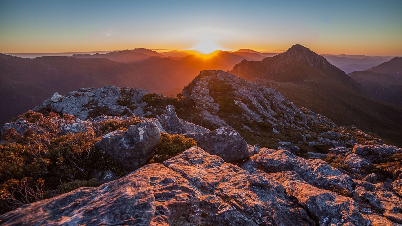Вчені шокували заявою про дику природу