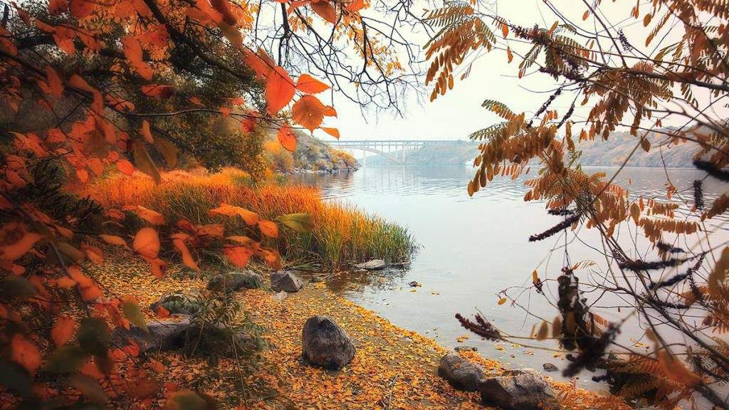 Мальовнича природа Хортиці в яскравих пейзажах