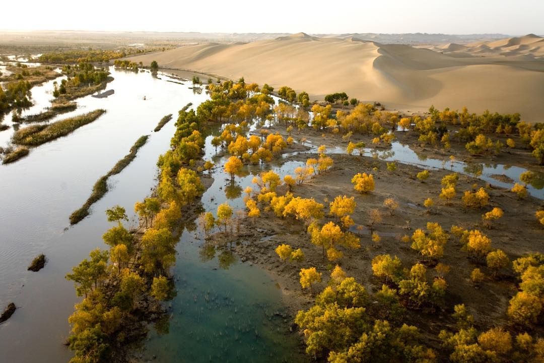 На межі річки та дюни: фото National Geographic з Китаю
