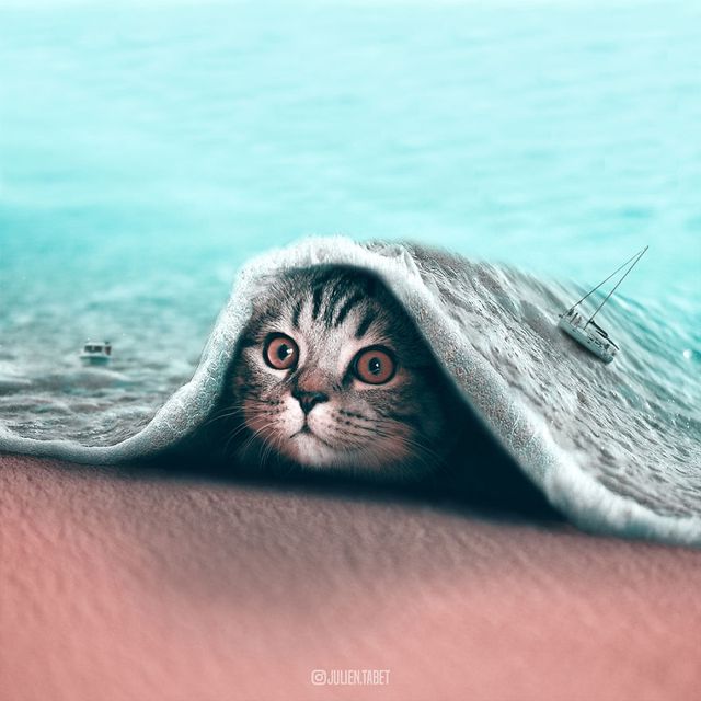 Неймовірні фото тварин, які заворожують - фото 286875