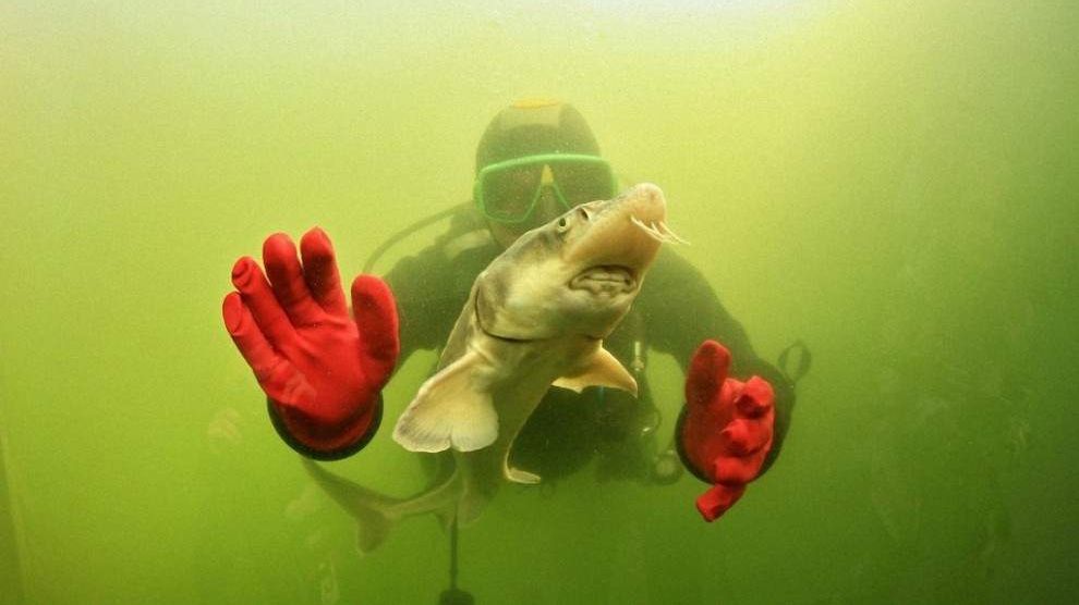 Як виглядає унікальний тунель, побудований під озером