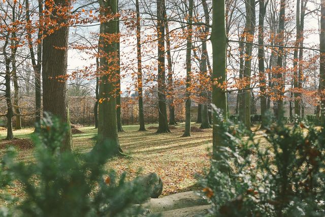 Чеський Крумлов в об'єктиві талановитого фотографа - фото 289654