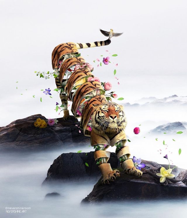 Аде Маолана створює казкові знімки - фото 288832