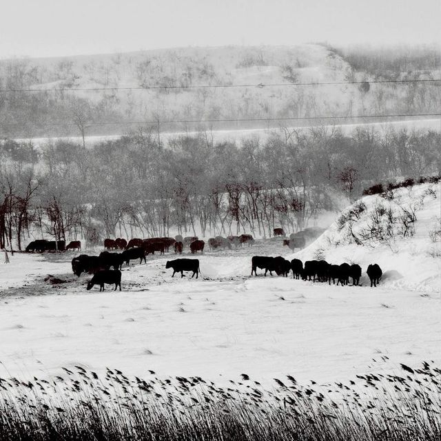 Провінційна Америка у чорно-білих знімках - фото 287826