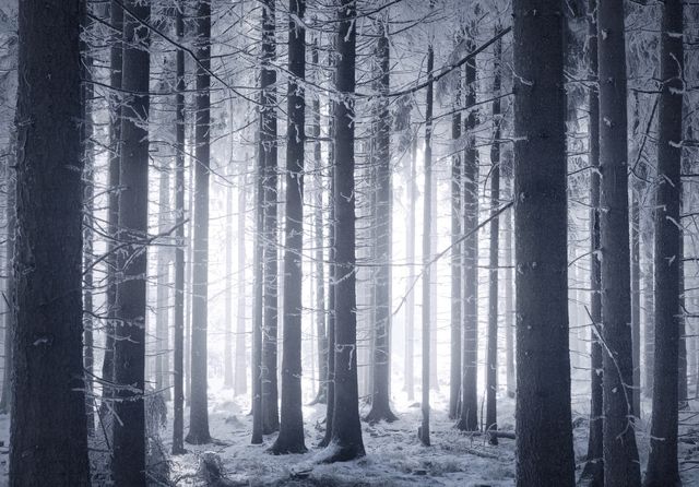 Засніжені пейзажі Європи, від яких перехоплює дух - фото 289523