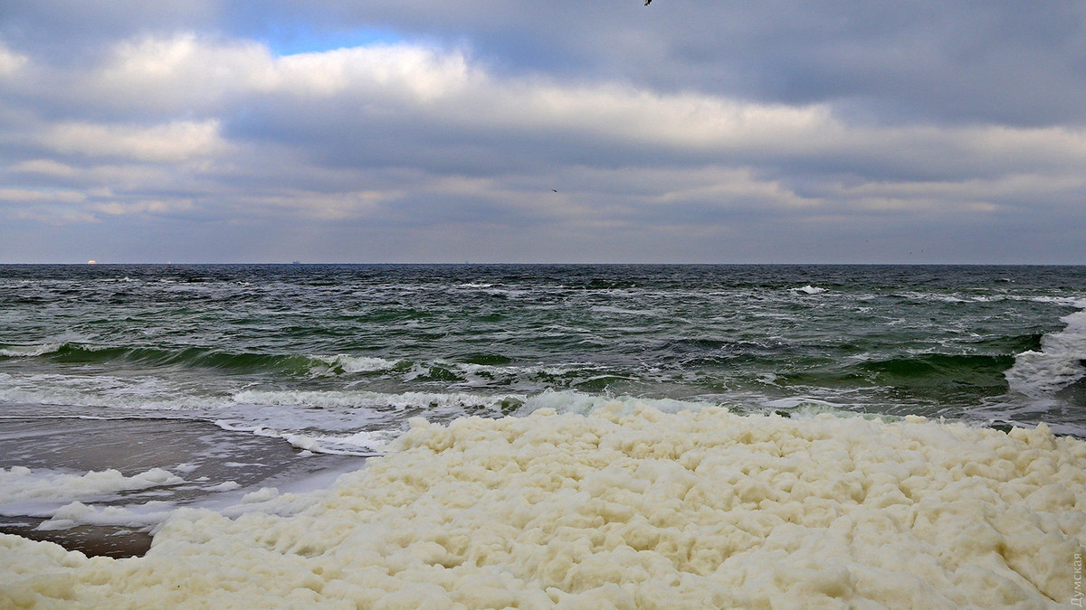 На пляжах Одеси помітили незвичайне явище: фотофакт - фото 1
