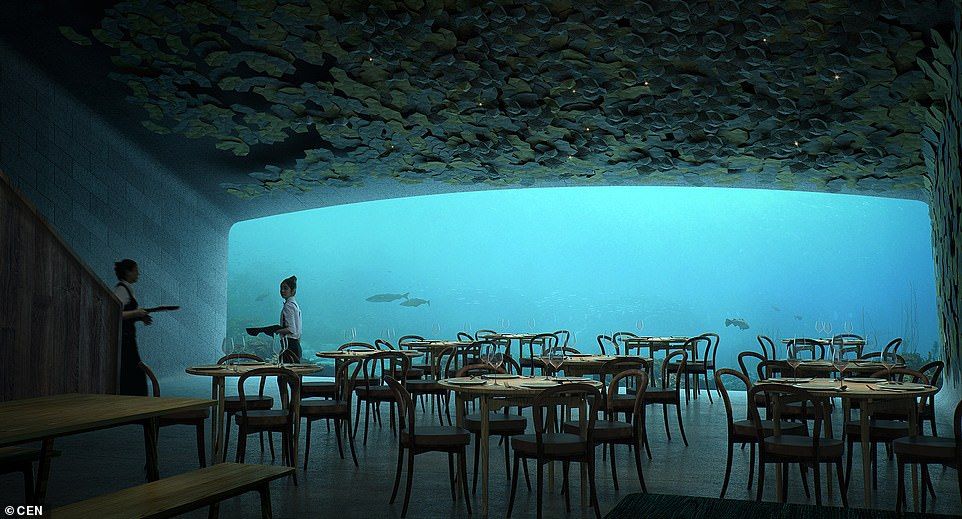 Місць нема: у першому підводному ресторані Європи столики заброньовані на півроку вперед